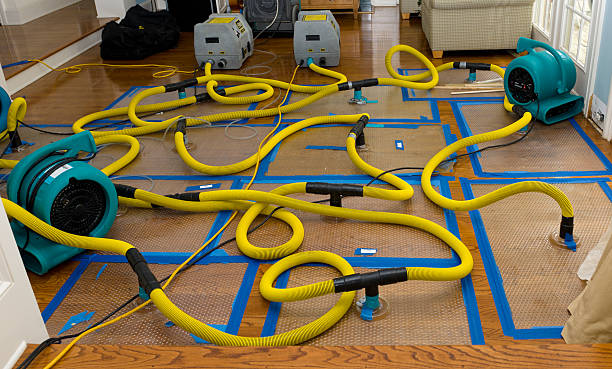 Professional Crawl Space Water Removal technician working in Latty, OH